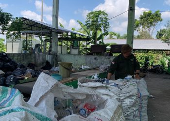 Sekitar 1.300 Ton Sampah Dihasilkan Kabupaten Jember dan Hanya 460 Ton Sampai ke TPA, Lainnya ke Mana? 3 TPS di Kabupaten Jember