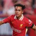 Bursa Transfer Liga Premiere Inggris: Brenford Datangkan Pemain Sayap Liverpool Fabio Carvalho Senilai 27,5 Juta Euro 8 Fabio Carvalho.