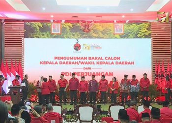 PDIP.