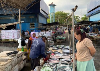 Harga ikan tongkol.