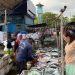 Harga ikan tongkol.