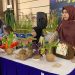 Cara Menanam Bunga dengan Teknik Kokedama yang Unik, Alternatif Desain Tanaman yang Estetik dan Simpel 8 Teknik kokedama.