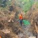 Tubuh Rusak Sulit Dikenali, Identitas Mayat Terbakar di Nguling Pasuruan Buram 8 Mayat terbakar.