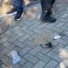 Aksi Demo Tolak RUU Pilkada di Gedung DPRD Jatim, Massa Lempari Kotoran Manusia 9 RUU Pilkada.