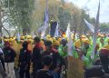 Semen Gresik