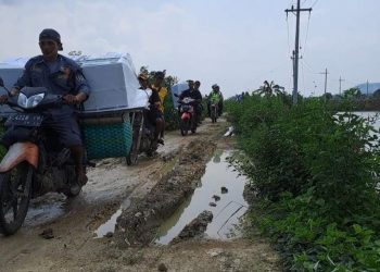 kotak suara