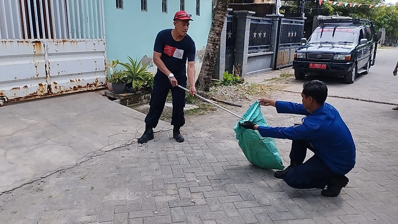 Ular cobra di Tuban.