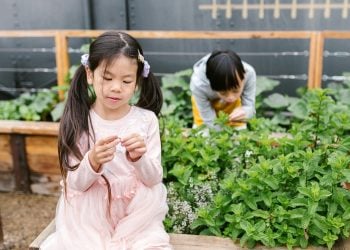 Wajib Tahu! Ini Dia Beda Autisme dan ADHD Lengkap dengan Cara Pengobatannya 7 Autisme dan ADHD.