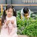 Wajib Tahu! Ini Dia Beda Autisme dan ADHD Lengkap dengan Cara Pengobatannya 8 Autisme dan ADHD.