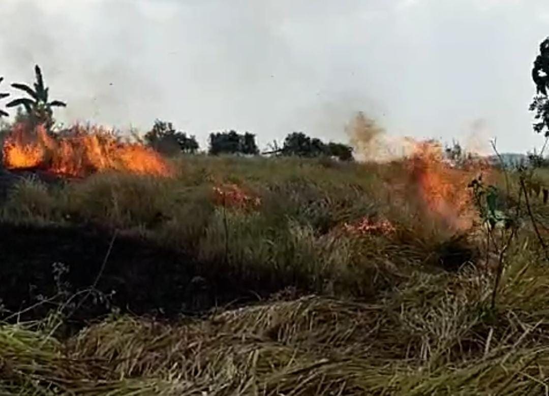 Satu Hektare Lahan Kering di Tuban Terbakar, Diduga Akibat Ulah Oknum Tak Bertanggung Jawab 2 Lahan kering Tuban.
