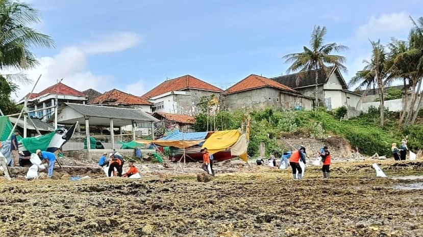 Kompak! Aksi Bersih-Bersih Pantai Utara Sotaber-Pamekasan di Hari Bersih Sampah Sedunia 3 bersih sampah 1