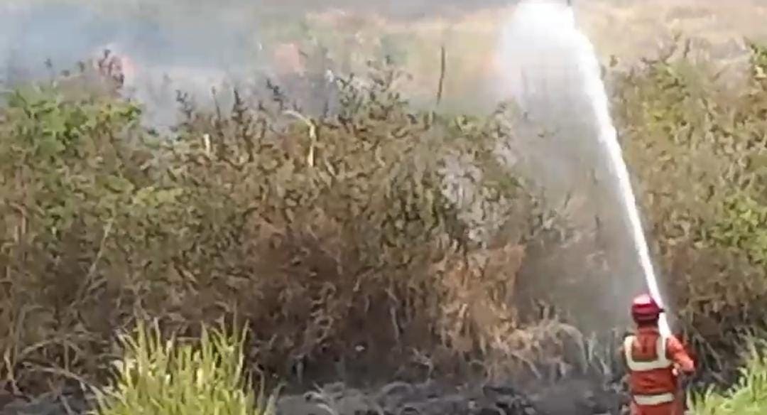 Satu Hektare Lahan Kering di Tuban Terbakar, Diduga Akibat Ulah Oknum Tak Bertanggung Jawab 1 Lahan kering.