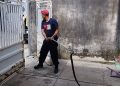 Ular cobra.