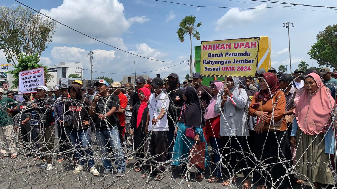 Ratusan Buruh PDP Kahyangan Jember Demo, Tagih Janji Bupati hingga Tuntut Copot Direksi 1 Kahyangan Jember.