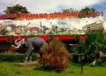 Kebun Binatang Surabaya.
