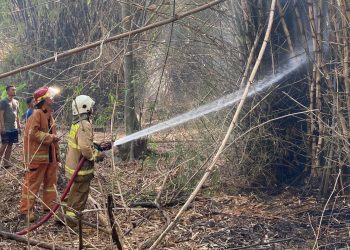 Sehari Dua Lokasi Berbeda Kebakaran Lahan, Mojokerto Masih Diintai Akibat Pembakaran Sampah Sembarangan 1 Kebakaran lahan.