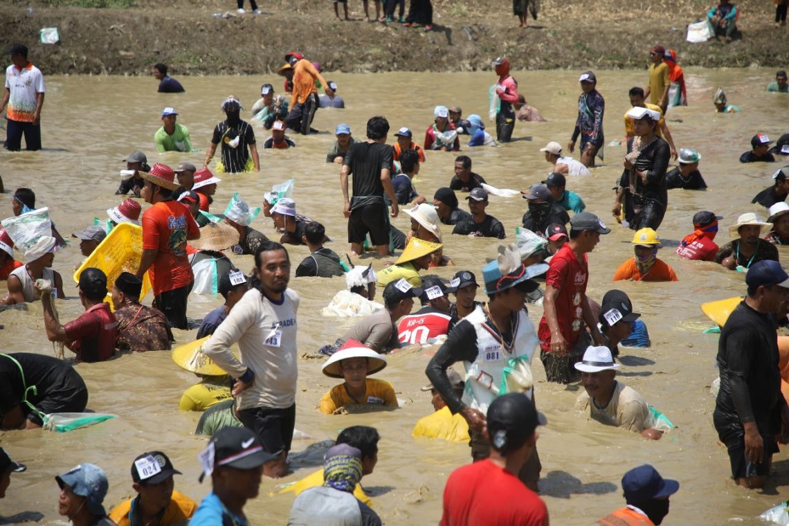 Festival Gogo Ikan 2024 di Tuban Wahana Edukasi dan Hiburan Dorong Ekonomi Warga 1 gogo ikan lele
