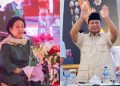 Mega Prabowo