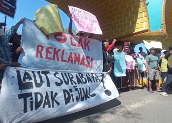 Pengembang