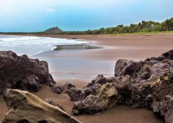 Pantai Rowo Cangak.