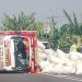 Truk di Mojokerto Kecelakaan Tunggal Tiba-Tiba Pecah Ban, Muatan Padi Berserakan 9 Truk di Mojokerto.