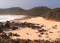 Pulau Nusa Barong Jember.