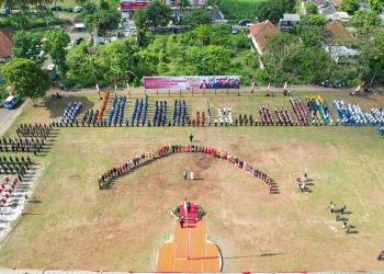Jember.