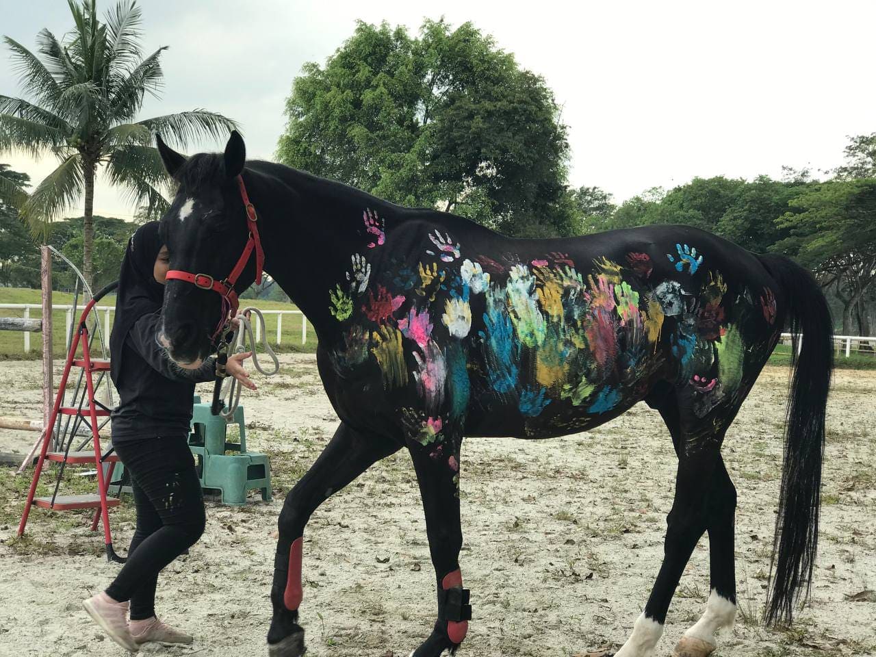 Tugu Media Group Kunjungan ke Penawar Hippotherapy Centre, Peluang Melihat Layanan Terapi Berkuda Terbaik untuk Anak Autis 3 Terapi kuda Penawar Hippotherapy Center.