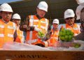 Badan Karantina Indonesia Selidiki Dugaan Kandungan Kimia Berbahaya Anggur Shine Muscat Impor di Surabaya 2 Anggur Shine Muscat.