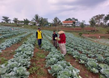 Lapas Kelas I Malang.