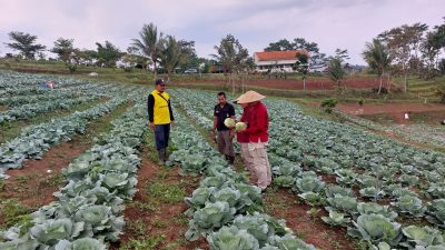 Lapas Kelas I Malang.