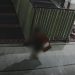 Bocah 12 Tahun Gotong Kotak Amal Masjid di Pasuruan Terekam CCTV 8 Kotak Amal