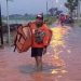 Catatan Bencana Hidrometeorologi di Mojokerto Selama 2024 8 kurir menerjang banjir