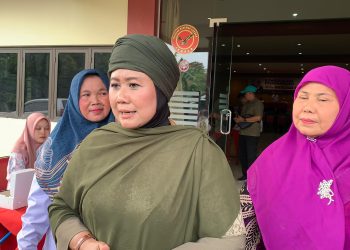 Luluk Nur Hamidah