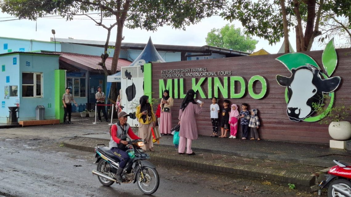 Serunya Belajar sambil Bermain di Milkindo Green Farm Kepanjen, Bisa Mengenal Hewan hingga Menanam Padi 1 Milkindo Green Farm.