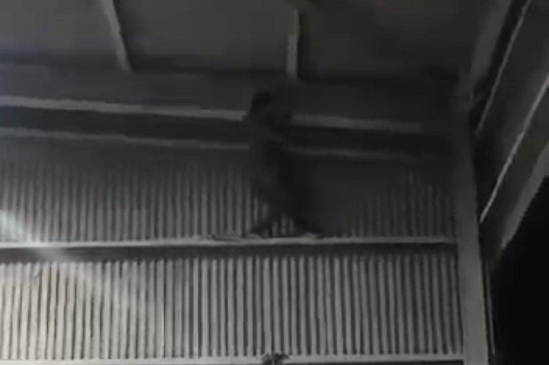 Transaksi Narkoba di Tuban, Pemuda asal Gresik Lari Sembunyi di Atap Gudang PT SBI 1 transaksi narkoba.