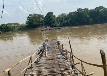 Terseret arus sungai.