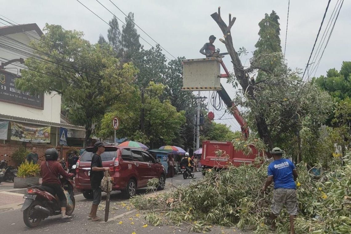 Jelang Musim Hujan, DLH Kota Mojokerto Mitigasi Kerawanan Banjir 1 Musim hujan.