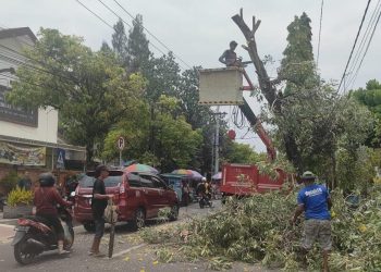 Musim hujan.