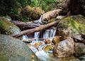 Air Terjun Dolo.