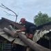 Angin Kencang Robohkan Pohon Besar di Bancar, BPBD Tuban Bergerak Cepat 8 pohon.