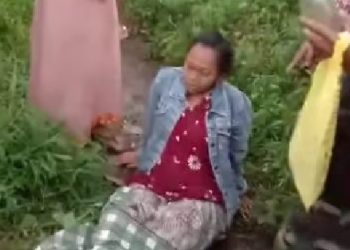 Heboh! Ibu Hamil Melahirkan di Perkebunan Karet Desa Manggisan Jember