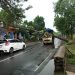 Pohon tumbang
