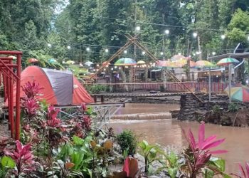 Kampung Durian Jember.