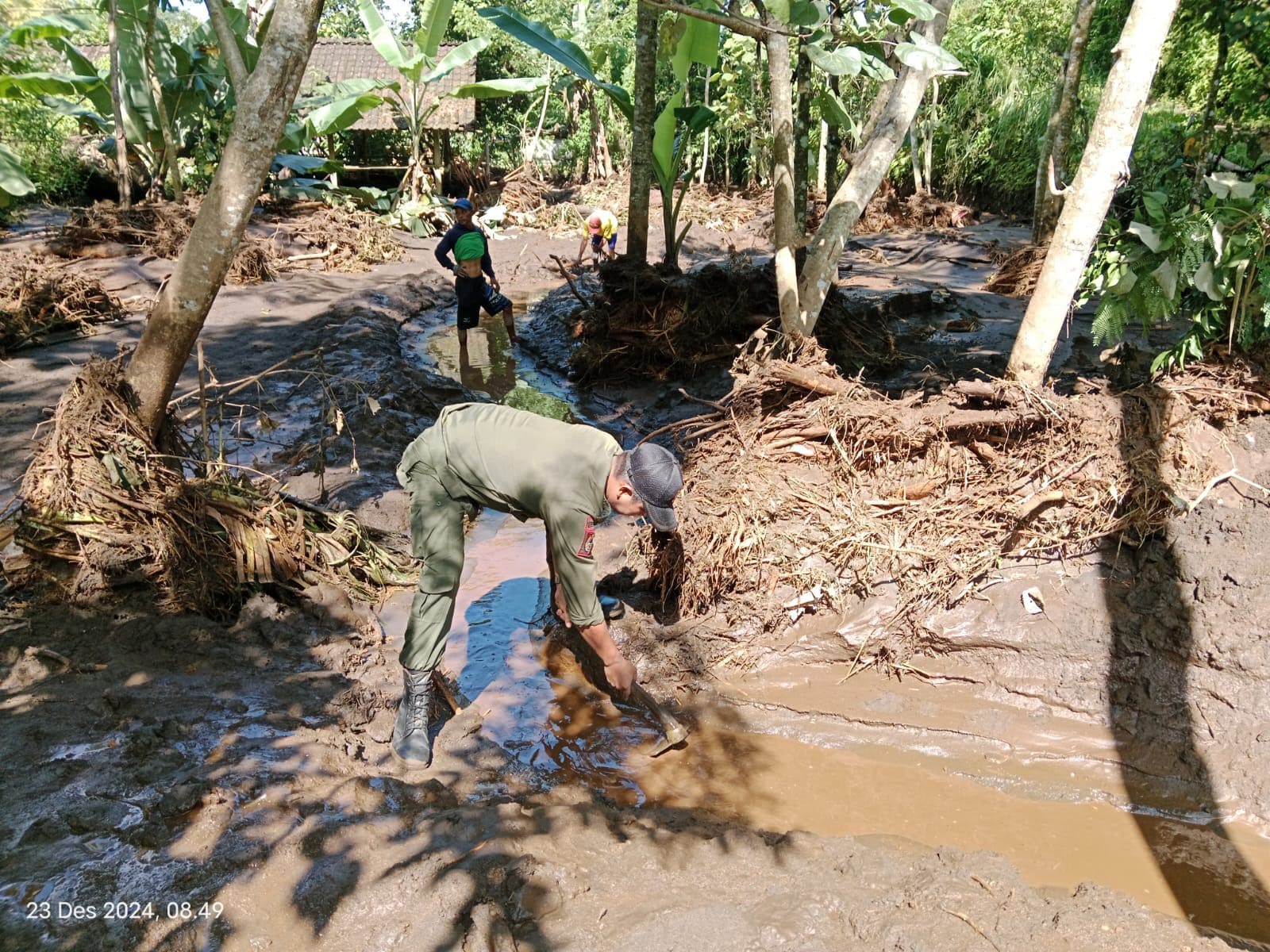 Banjir bandang di Jember.