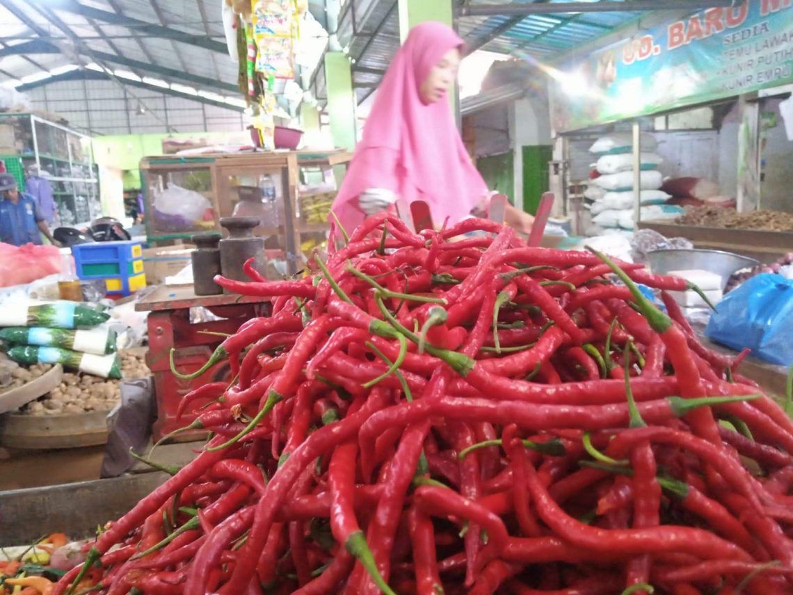 Harga cabai.