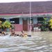 Cuaca Ekstrem, Ribuan Warga Mojokerto Terdampak Banjir 8 Banjir.