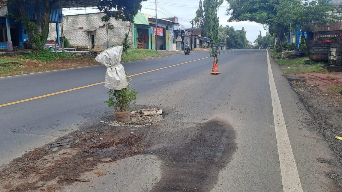 Jalur Pantura Tuban Rusak Ditandai Pohon, Belasan Pengendara Jadi Korban 1 Jalur Pantura.