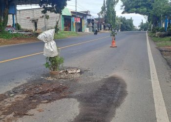 Jalur Pantura.