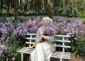 Taman bunga.